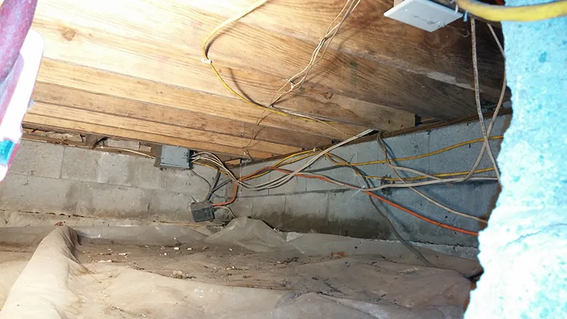 Mold inspection in a crawlspace