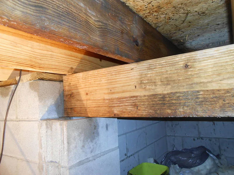 JWI technician conditioning a crawlspace to control moisture